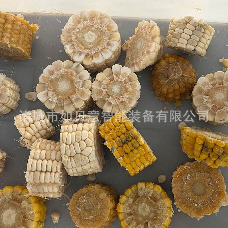 鲜玉米切段机 多功能长条类果蔬切段设备 全自动牛蒡切段机