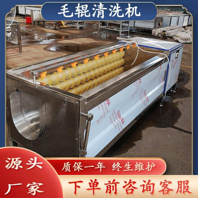 毛辊清洗机荷叶清洗去皮机商用香螺去杂清洗机红芽芋毛辊清洗设备