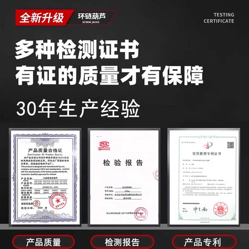 定制无刷钢丝绳电动电葫芦220V变频调速家用无线遥控升降小吊机