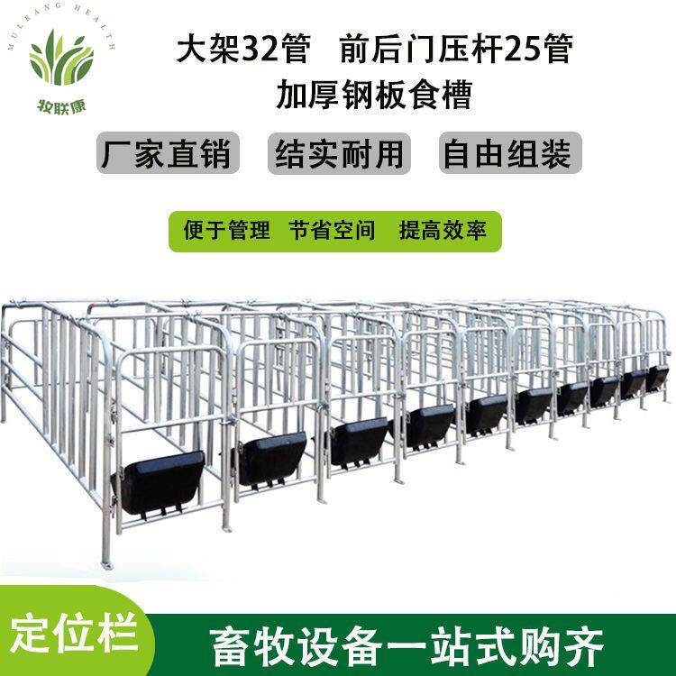 母猪定位栏十位五位限位栏热镀锌高位母猪栏带漏粪板老母猪栏养殖