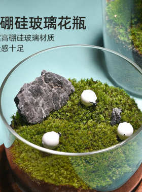 高硼硅玻璃花瓶桌面微景观生态瓶水培植物罐客厅装饰玻璃缸大花瓶