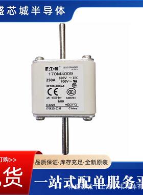 170M08670M6109170M6086快4速熔断器规格齐全现货包邮量大优6惠
