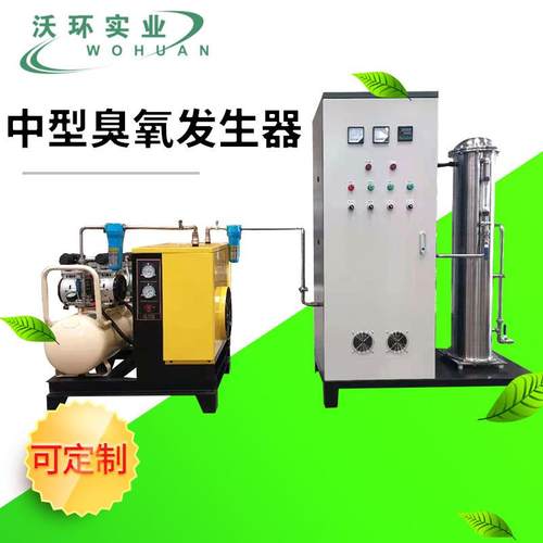 厂家供应中型臭氧发生器污水处理净化设备氧气源臭氧发生器臭氧机