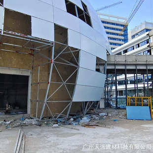 双曲面球面曲面铝扭幕墙厂家异形花造型氟碳单板镂空漆雕铝板户外