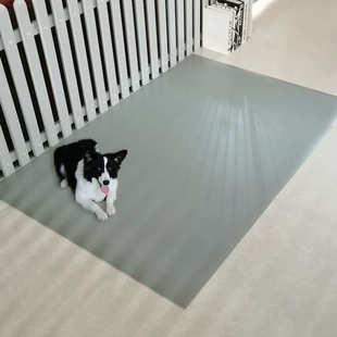 宠物防水地垫围栏防尿狗窝垫猫咪猫砂防漏专用可擦免洗垫防抓抗咬