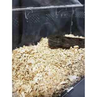 刨花木屑宠物甲虫垫材低尘木屑刨花木丝爬虫爬宠垫料木屑白杨木片