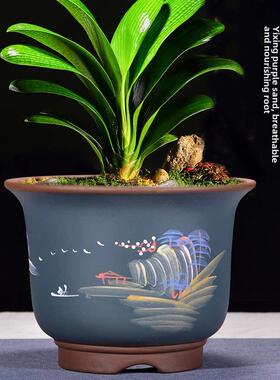 紫砂花盆、Clivia、Money Tree、Pothos花盆、家用室内绿色植物陶