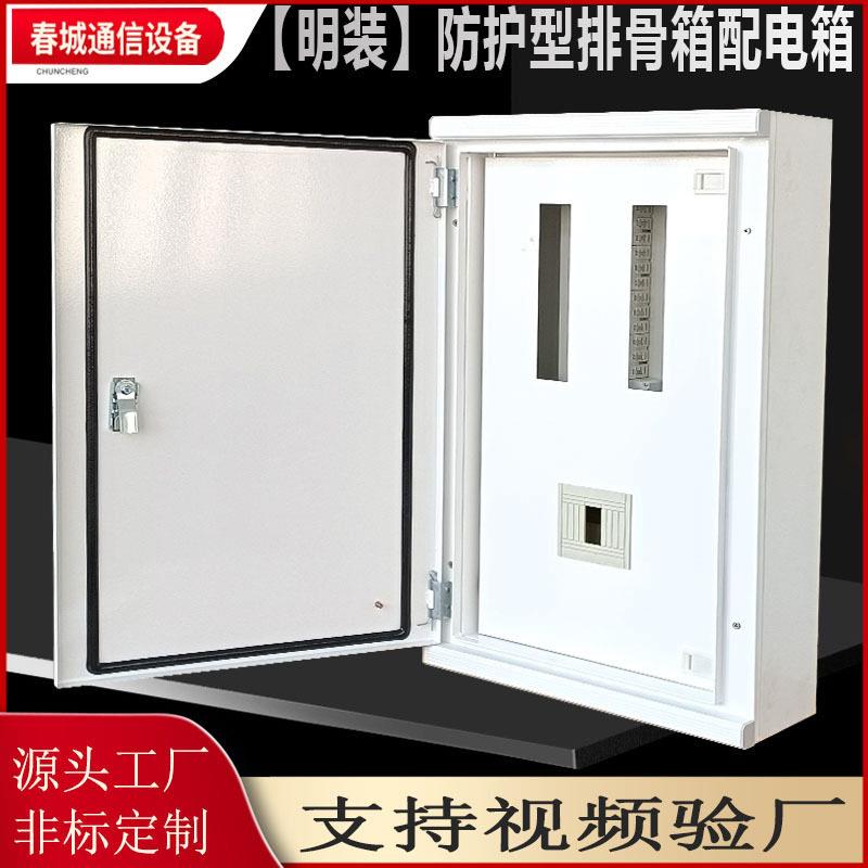 明装防护型双层门配电箱香港/东南亚/排骨箱强电箱照明开关控制箱
