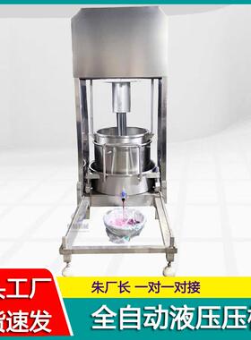 煮中药提取汁榨汁机 中香植物汁液取机 材煎萃取姜SWO汁压榨机