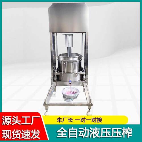 煎煮中药取材汁榨机中 香植物汁汁液提取JKH机 萃取姜汁压榨机