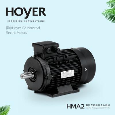 丹麦HOYER MOTOR霍尔电机IE1 IE2 IE3 IE4现货三相异步铝壳电动机