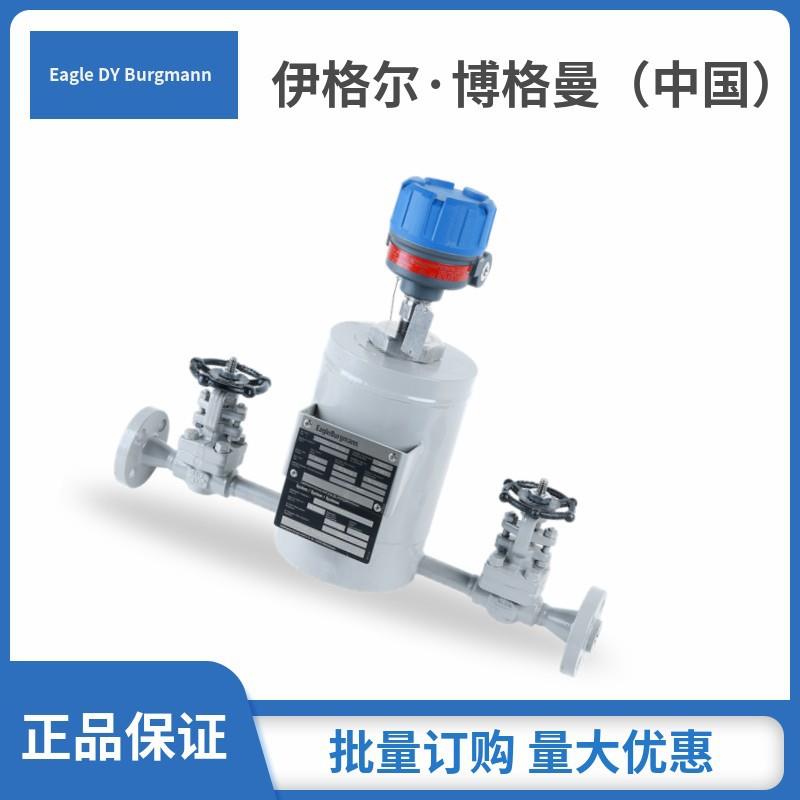 上EagleBrgumann海博格曼机械877密封泄露控制系统LS050(aPln65)