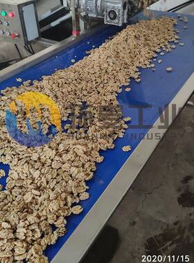 自动核桃仁去皮机高压冲洗核桃仁脱皮机环麦核桃制品设备