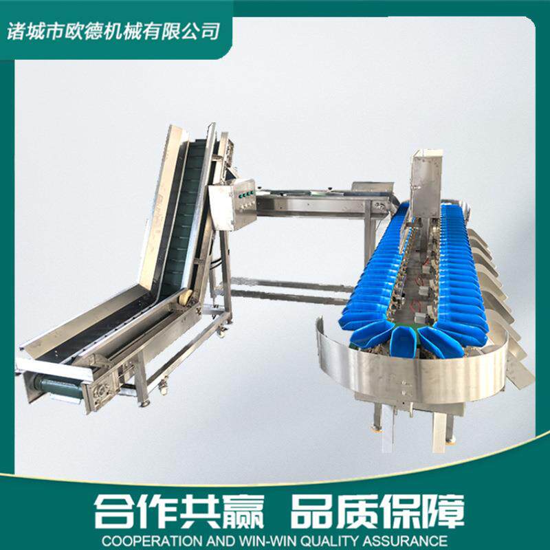 果蔬西红柿分选机 水果智能称重分选机 柠檬百香果大小等级分选