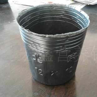 营养钵批发一次性秧苗育苗杯黑色塑料育苗盆花卉种植袋