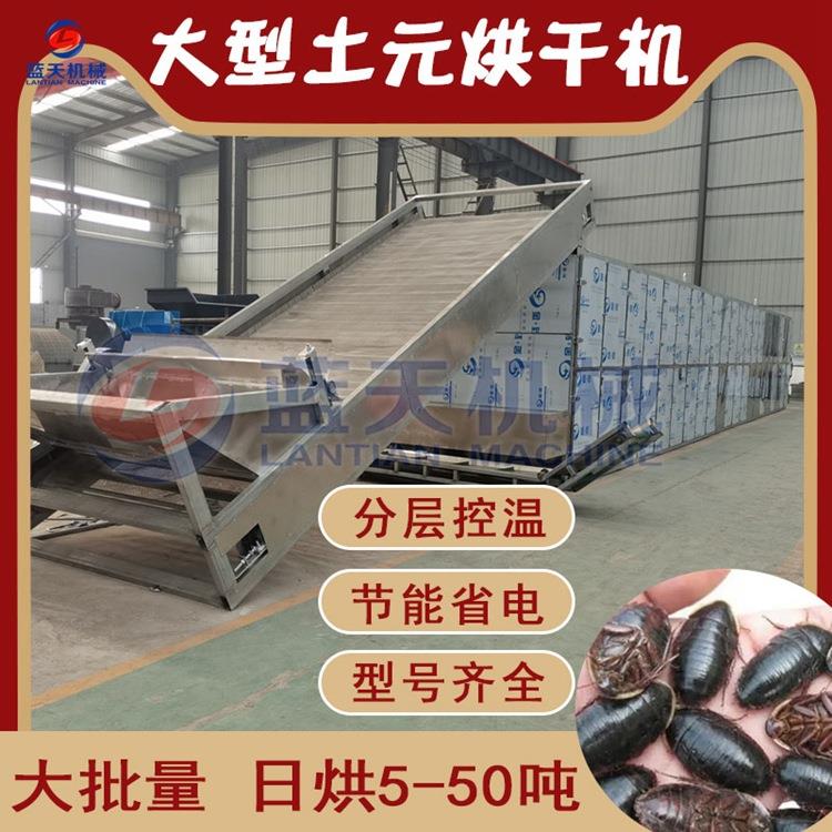 大型土元烘干机全自动地鳖虫土鳖干燥机网带式臭虫母烘干流水线
