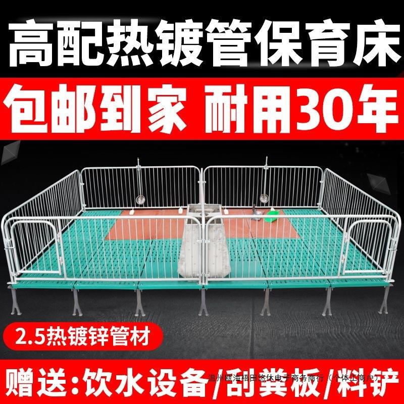 仔猪保育床高配热镀2.5保育栏母猪产床定位栏养殖场养猪设备包邮