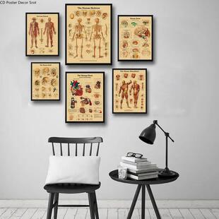 Retro Poster Anatomy The Physiology Structure and Kraft Body