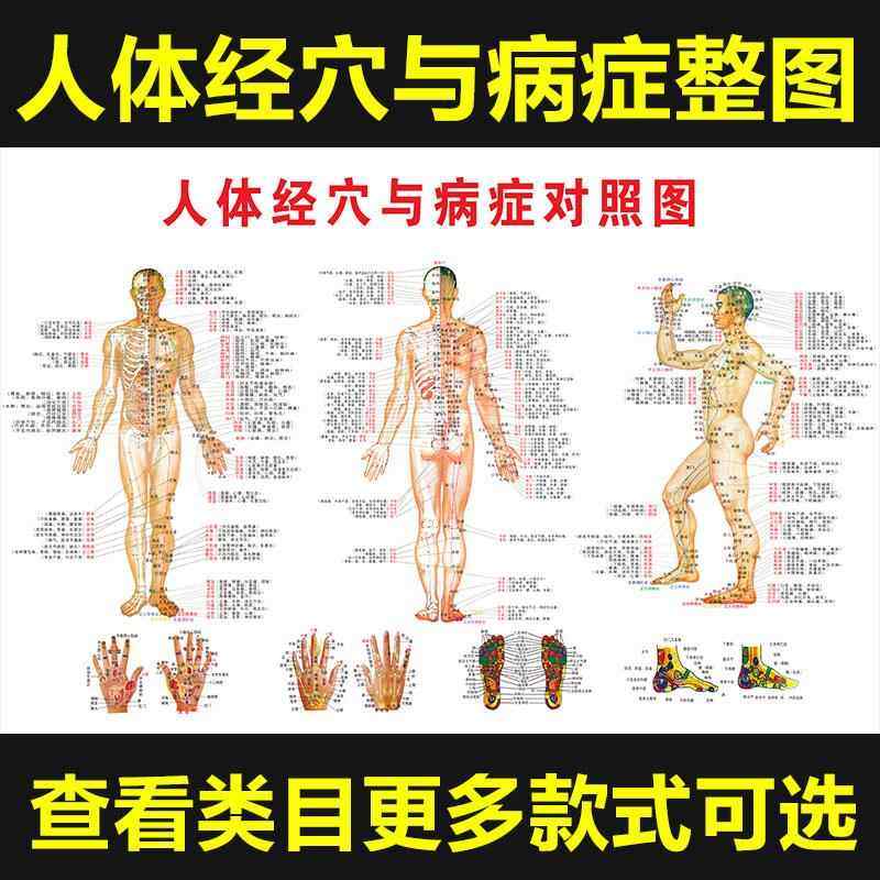 高清全身经络大挂图中医养生学习图解 经络穴位病症对照,个性定制/设计服务/DIY,写真/海报印制,淘宝优惠券,粉丝福利购,淘宝优惠卷