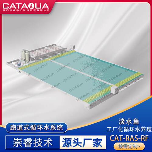 大型跑道式水产养殖循环水系统罗非鱼鱼类虾类工厂化养殖设备