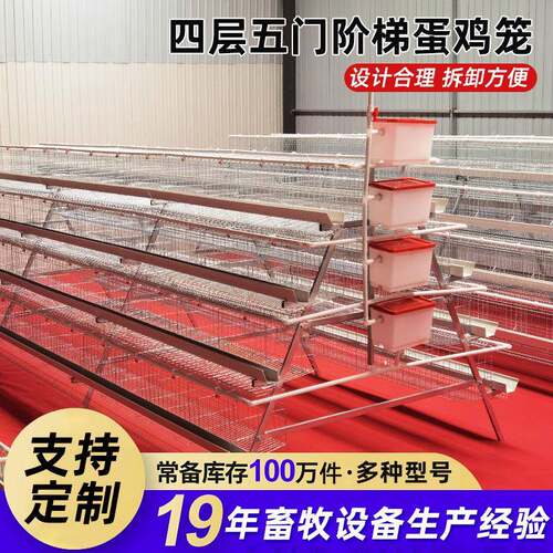 养殖场专用阶梯蛋鸡笼加厚镀锌管自动滚蛋自动清粪家禽养殖设备厂