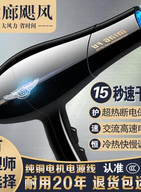 吹风机大风力不伤发速干大功率吹风机冷热风吹头发蓝光负离子护发