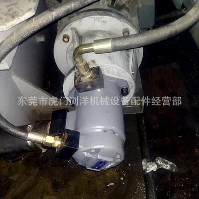 SQP21-17-14-1DD-18油泵 维修