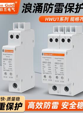 新型智能防雷保护器一体小体积2p4p20KA40KA家装带指示浪涌保护器