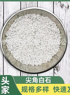 产地直批白色小碎石 白石米 白色枯山水石子 白色鹅软石 机制白石
