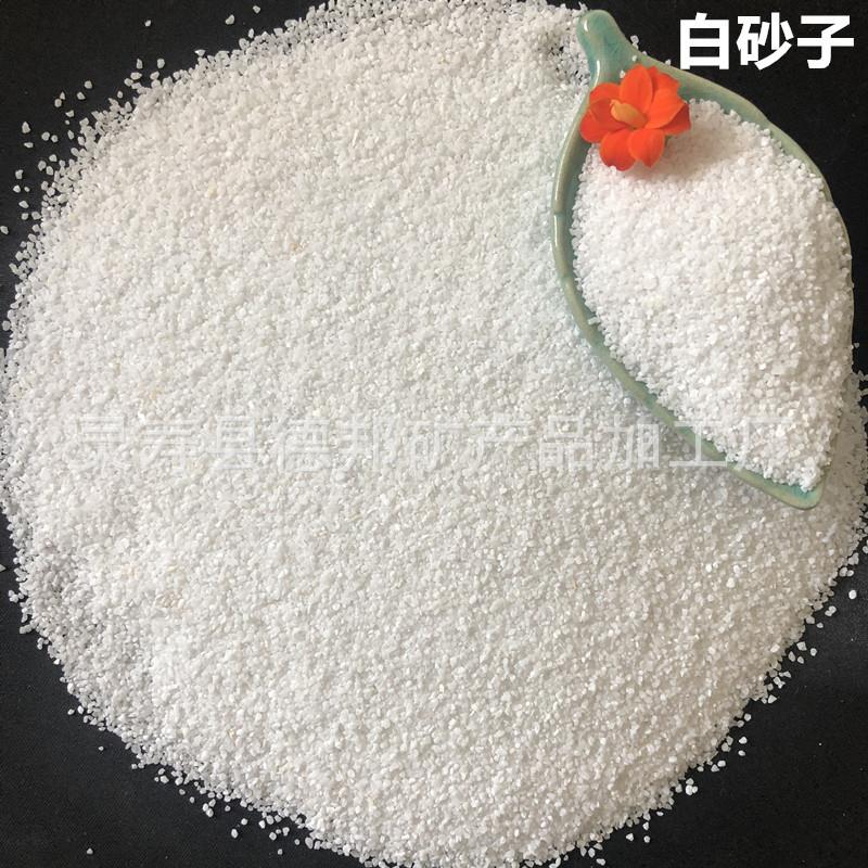 大量白色细沙 白石子 鱼缸造景底沙儿童娱乐白沙子量大从优