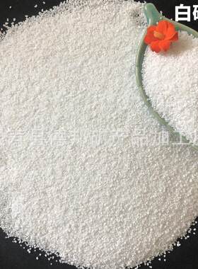 大量白色细沙 白石子 鱼缸造景底沙儿童娱乐白沙子量大从优