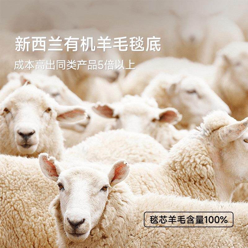 惦记可拆洗地毯双层进口羊毛地毯家用客厅法式中古风卧室2025新款