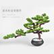高档陶扇型模拟迎客松木盆景大摆件中国风家客厅入居口装 饰板房软