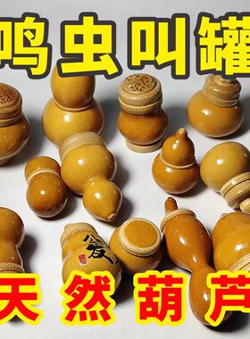 实心竹文玩小葫芦竹口竹根雕香囊竹雕鸣虫螽斯罐手把件手捻香料