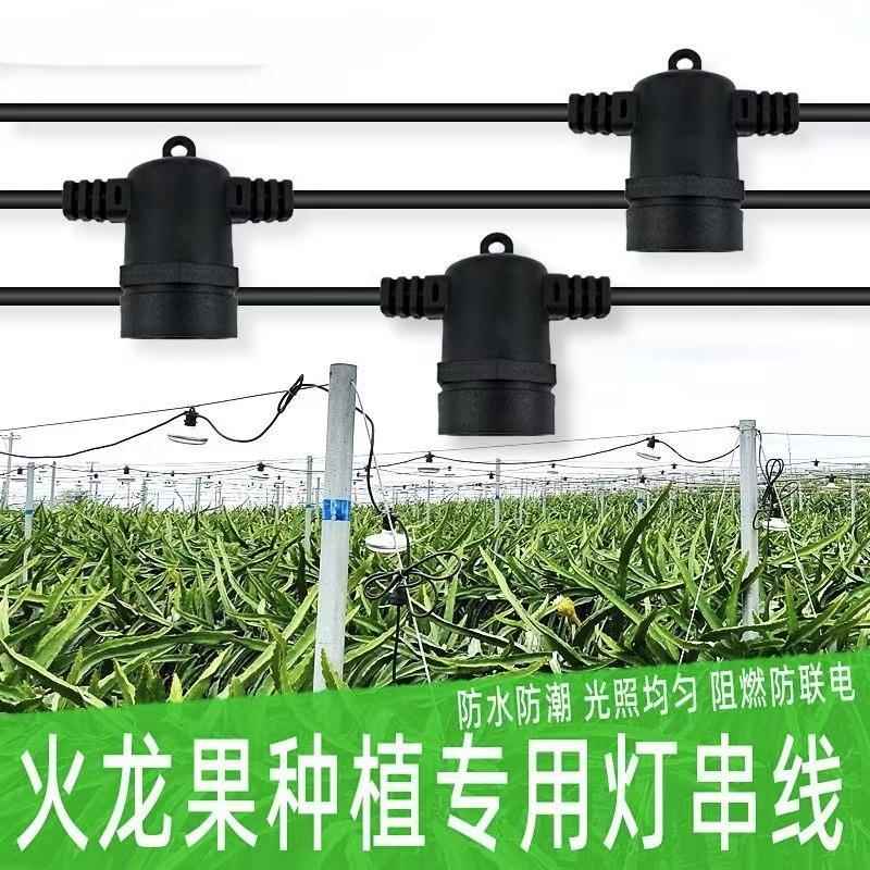 防水户外装饰灯串植物大棚火龙果补光灯E27灯串线婚礼庭院灯串