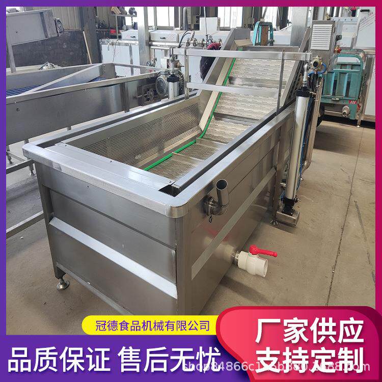 瓜果蔬菜清洗洗菜机商用果蔬气泡清洗机酱腌菜海带清洗脱盐设备