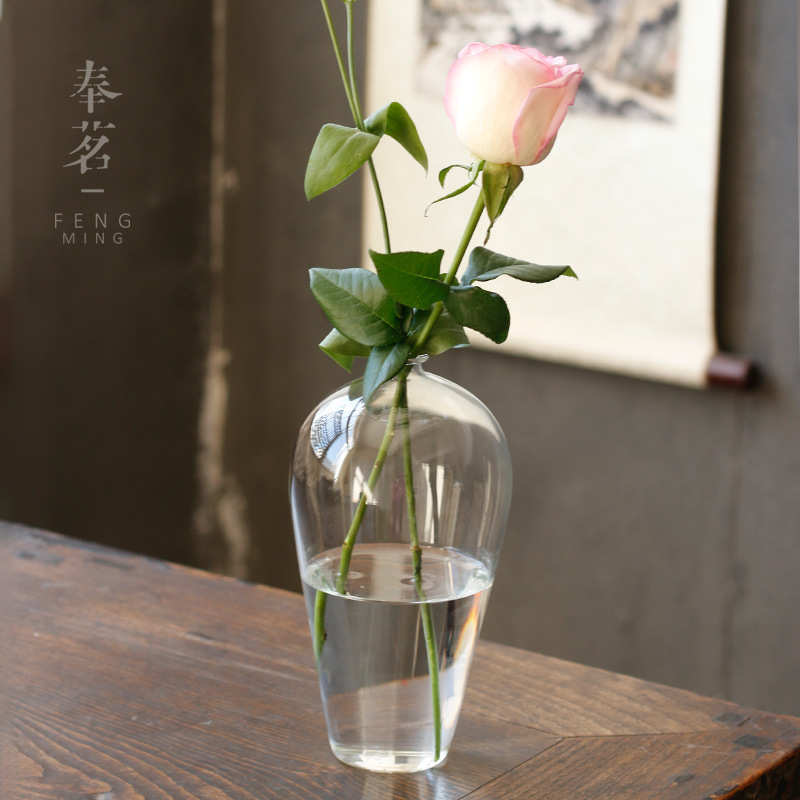 容器器器家居  大号透明花玻璃花水培小口大肚花瓶插花