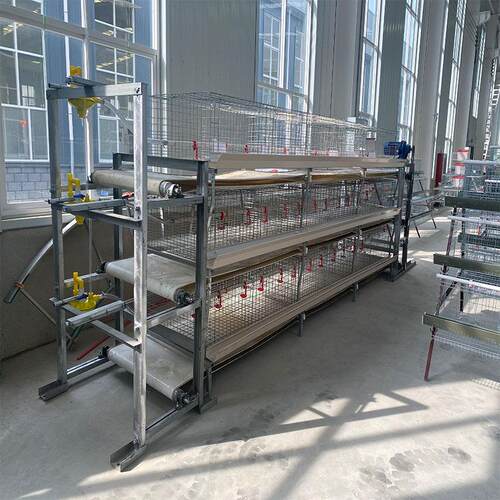 叠式镀锌自动清粪鸡笼规模化养殖蛋肉鸡笼具带饮水系统养鸡设备