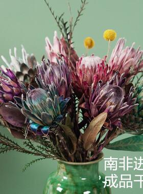 南非进口干 干花帝王花公主花班克木干 干燥花客厅高端进口真花花