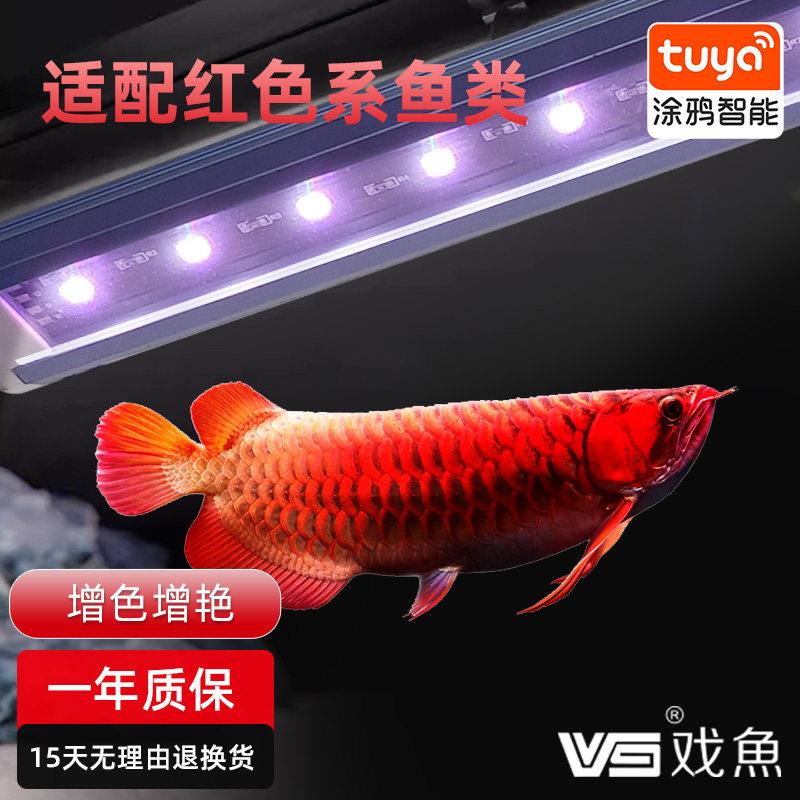 鱼缸灯led防水水草爆藻全光谱高端红龙专用增色增艳氛围照明射灯