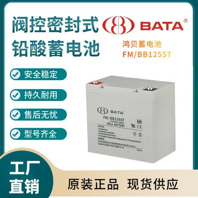 鸿贝蓄电池FM/BB1255T12V5H联保电源备用电子设备三年