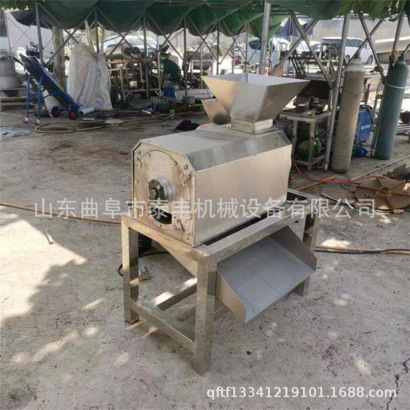 黄桃去核打浆机草莓火龙果不锈钢打泥机工业商用荔枝去核打浆机