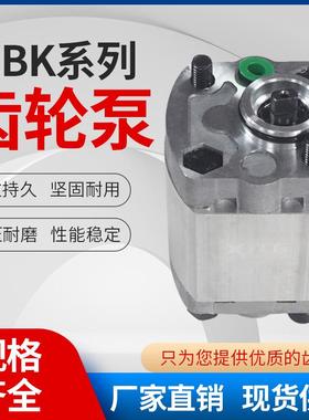 齿轮*.6f112/.1cbk4升降机2/.4./.高压泵油泵82油泵cbk/-1.3微型