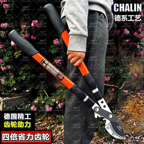 进口材质修剪果树树枝剪刀大号剪枝工具加长果园手动长杆园林