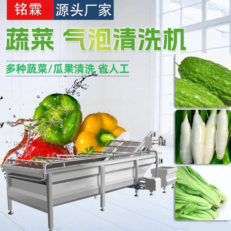 苦瓜茭白清洗机设备全自动喷淋式生菜清洗线葡萄果蔬清洗机设备