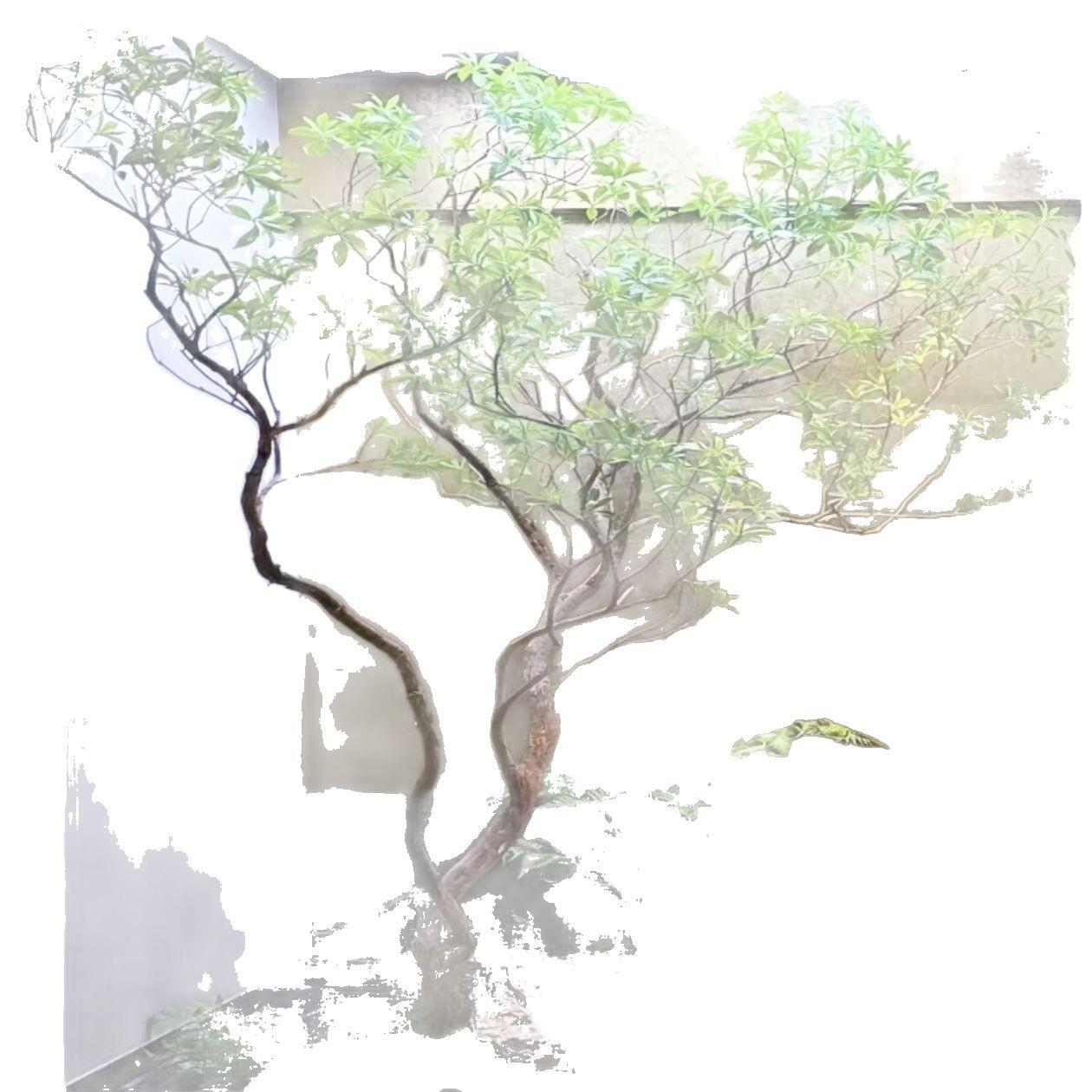 高端仿真马醉木植物造景室内楼梯口装饰橱窗仿生绿植大型假树造景