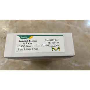 C18 5s828 9LC Supelco液相色谱柱53U829 250 Expres 4.6mm