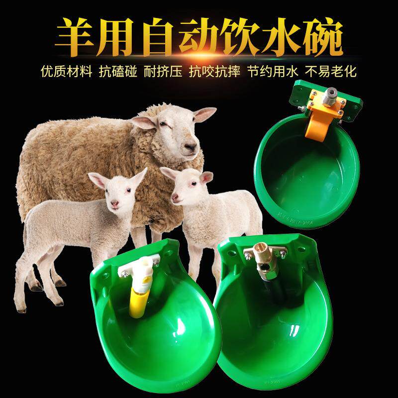 养牛 养羊用品 喝水碗养殖设备羊用饮水碗 自动饮水器 牛羊饮水碗