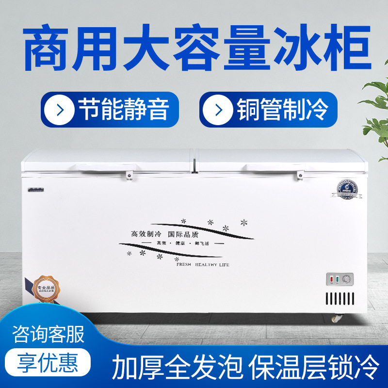 圣凯冰箱冰柜商用冷冻柜大容量节能卧式冷藏保鲜冷冻单双温展示柜