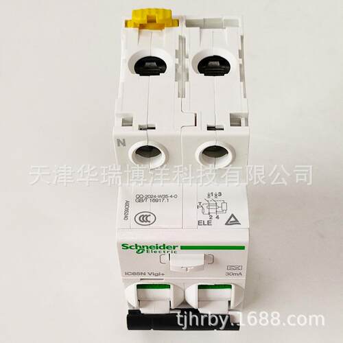 iC65N Vigi+2P一体式漏电保护断路器A9D65240电流30mA电子式